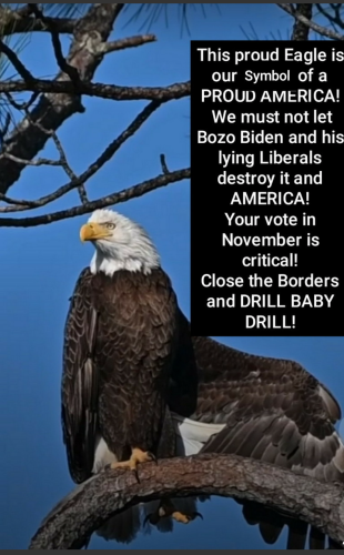 Screenshot_20220319-093435