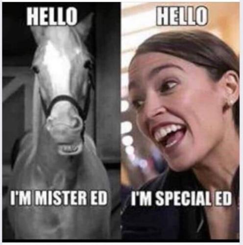 Mister Ed meets Special Ed