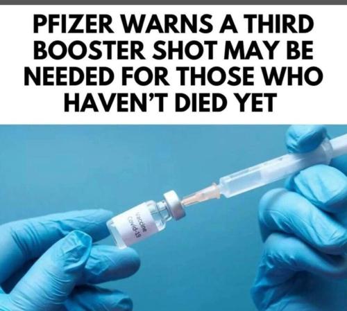 photo4945180239324097101