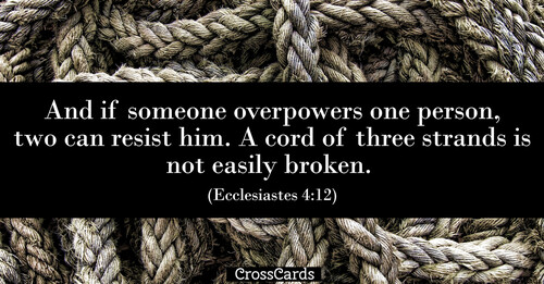 71217-ecc-412.1200w.tn