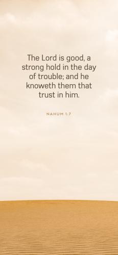 6C5FD69E-5394-4552-8DB2-D86C8E792A42