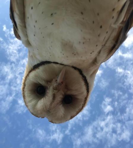 EB1CA44A-252D-4D49-9DE2-008009E1CC73