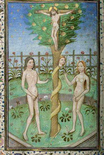 FB_IMG_1648739374941