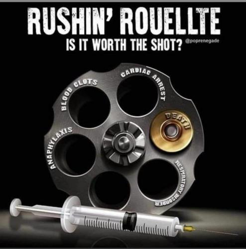 gtI7qdrDleNRzE74dYew_20_940142d35b0dff3c601ca8b37b9a110f_image_original