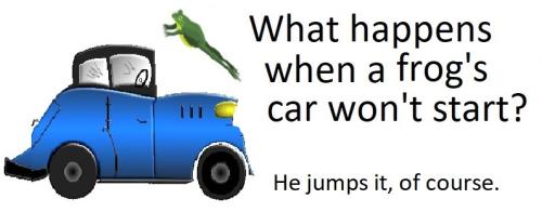 20220304 Frog jumps car