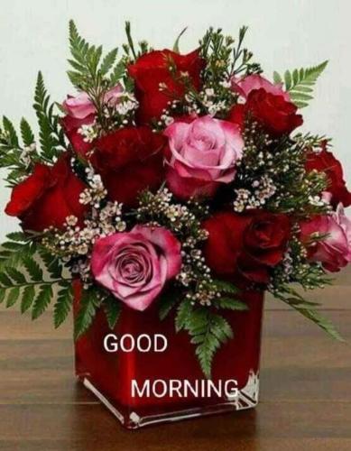 FB_IMG_1620094908148