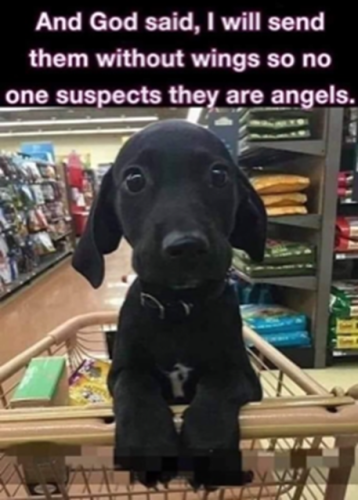 A-00 -