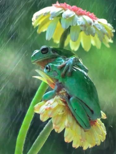 3C1B0B30-4B64-4CB0-B900-644017DDF918