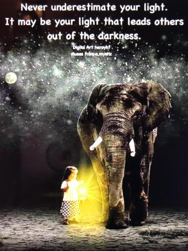 1CAB985F-99B4-4D86-ADF0-24D390D47BF3