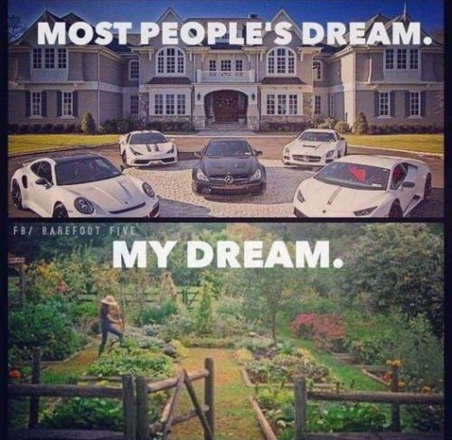 275438556_282567084017616_3981310186777257648_n