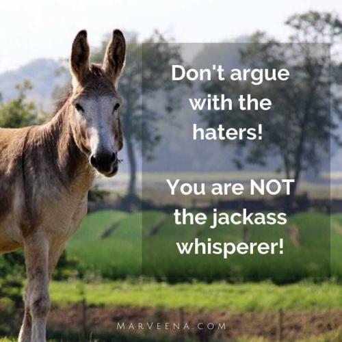 JackssWhisperer