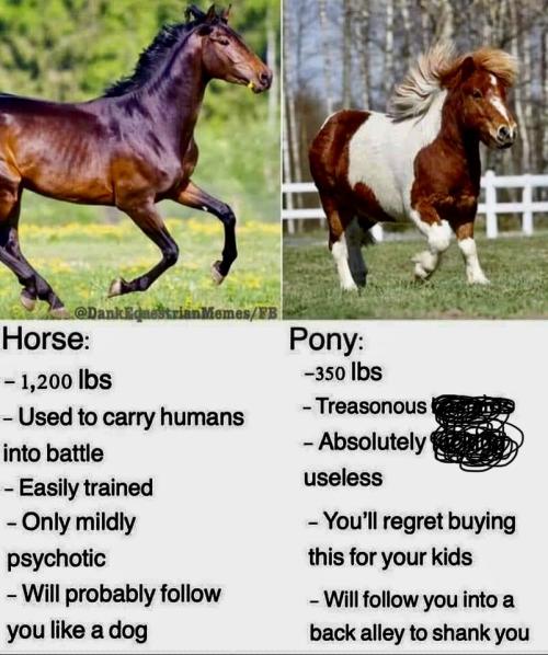 2066D4E8-69DC-4FA9-9588-2FD0A063FC71