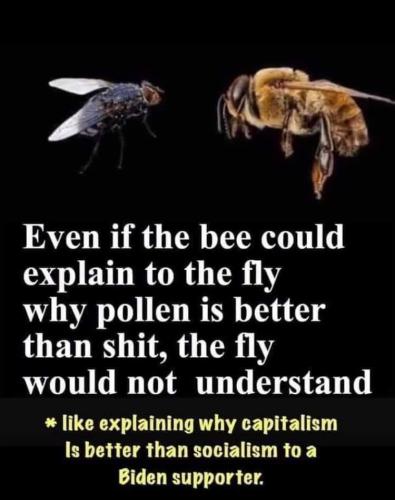 270afb2c-a547-49b8-81c0-34e5a8643962d