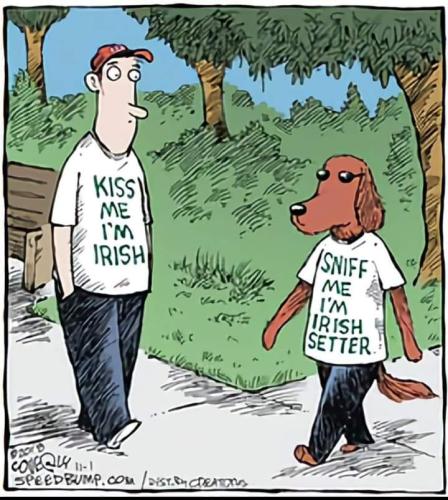 275931800_3051579945157128_528516212813215881_n