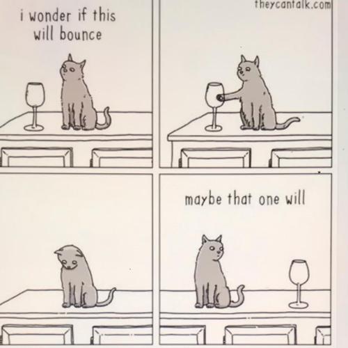 F9134117-8D9D-4AC0-B28E-EB6442825154