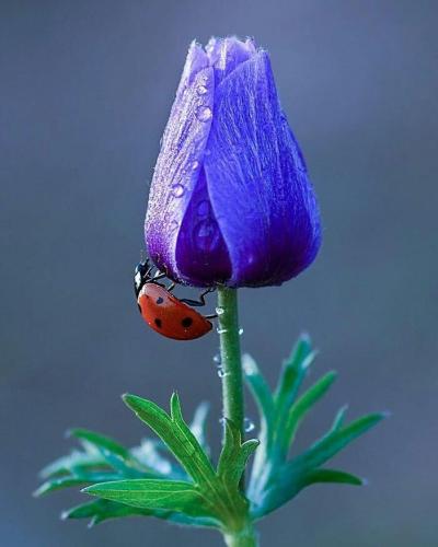 FDE63F22-1C4D-41E0-86B4-20589B031EFC