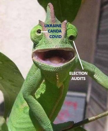0audits