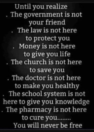 FB_IMG_1646785260610