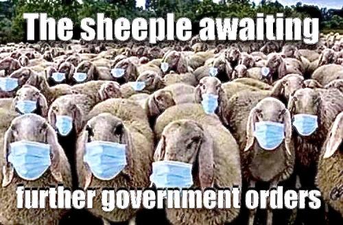 sheeple in masks
