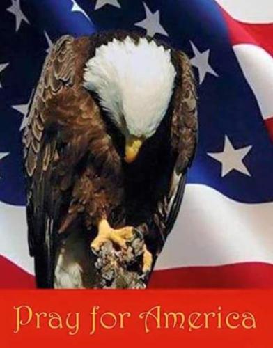 FB_IMG_1441064211130