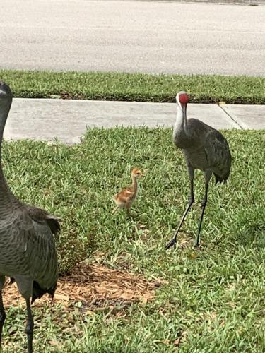 54943556-406C-43E4-A517-A4B5CA446C84