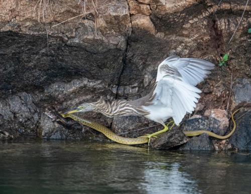 0B7C1893-4F2D-4A89-87F2-11BA88E9FE03