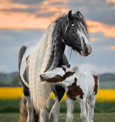 64903D59-E8E6-46BA-BF28-AE7827C8F29E