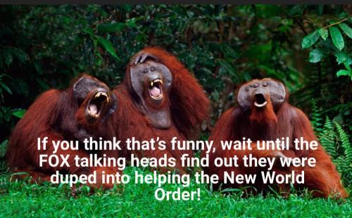 fa6f78a8-d93f-4872-a1e8-5432adba5edc