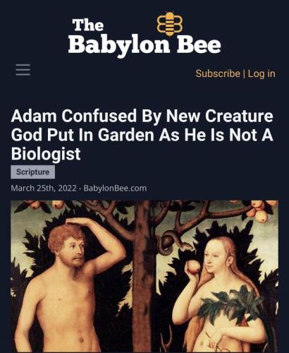 adam