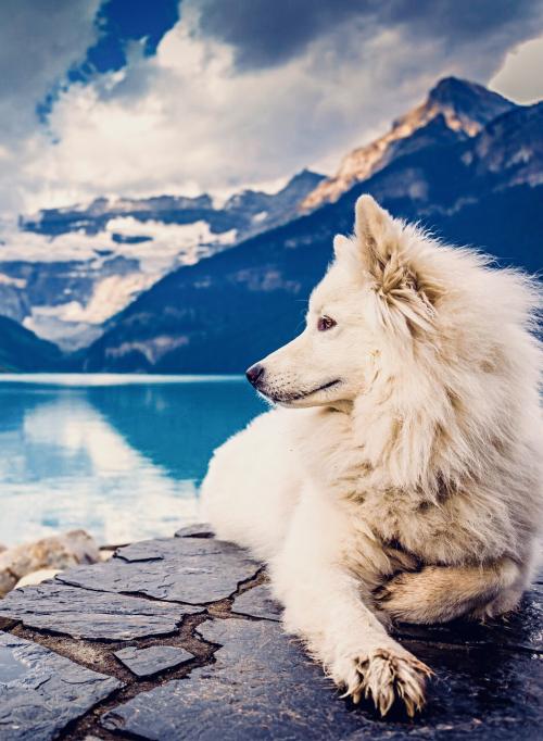 7A0F1515-838E-4C07-871E-B3A09BC02494