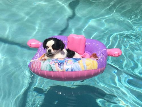 0CDC1A23-4014-4A76-B59D-DD959042AEE5