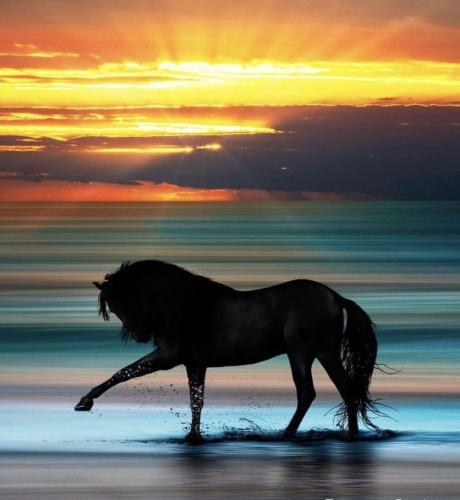 2925A18A-4C79-415F-9654-E81273CA4AC4