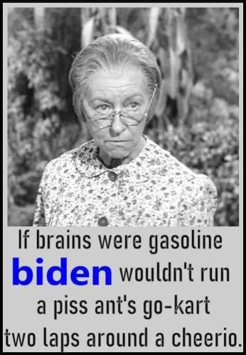 Bidens Brain