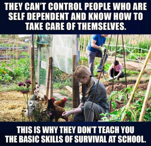 TheyCantControlPeopleWhoAreSelfDependentKnowHowToTakeCareThemselves