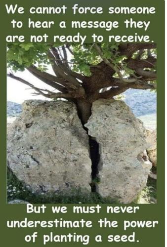 CB2B9DB0-2B60-4813-AAC9-221B1C107E20