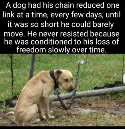 196548887_10159416996314711_8802085605673296621_n