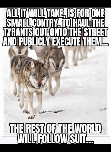 15BC5E83-2CCD-4475-8EF6-B5737A35A8D6