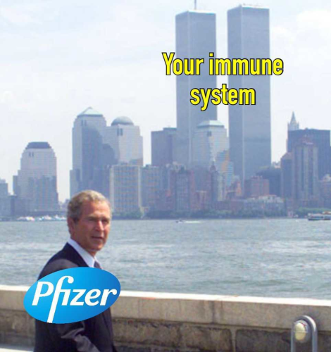 cc67b05e-d4a8-48b2-83a6-6649a807e613