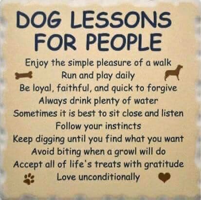 a7f1bf34-9554-4359-8749-9c8a7d0bb3e2