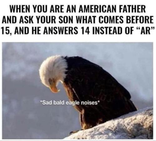 We also measure cheeseburgers per football field