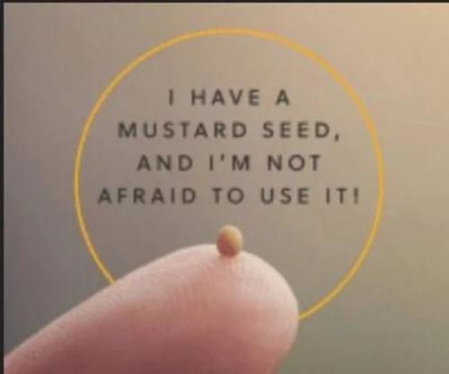 Not afraid to use it