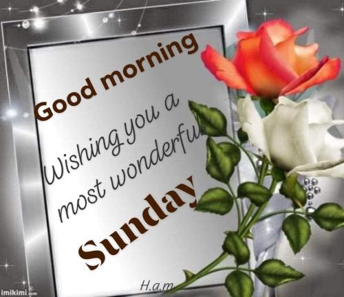 e082e899eba5c1554d9b516ad1e411cf