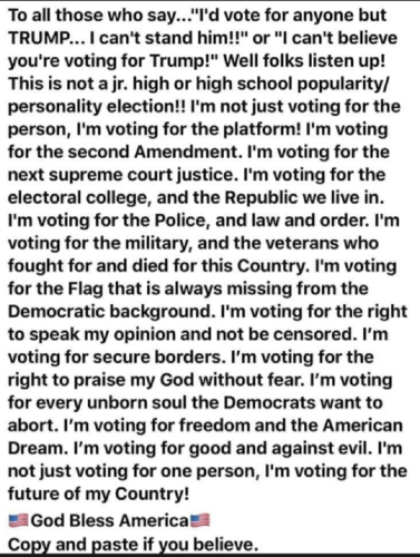Vote Freedon & American Dream