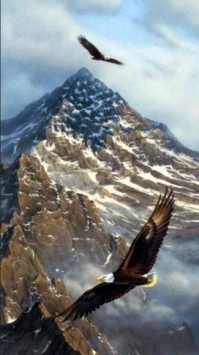 8591f1ae70ae59d06e17e2cd719ffd35_1024