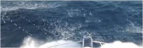 ss1atsearoughseas22stuffing