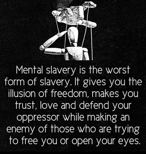 81C348C6-1393-4638-88A2-06748079FD8A