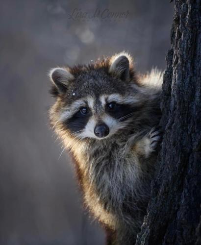 A303C933-3FE2-4C05-BAF0-40571AEC2934