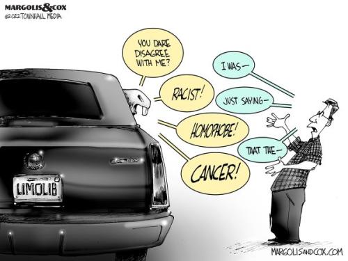 MC_LimoLib_web20220310125448