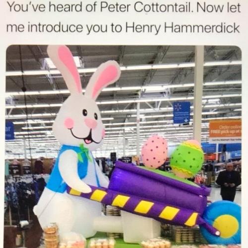 503C3E82-43AB-40BB-B473-1C59D302B158