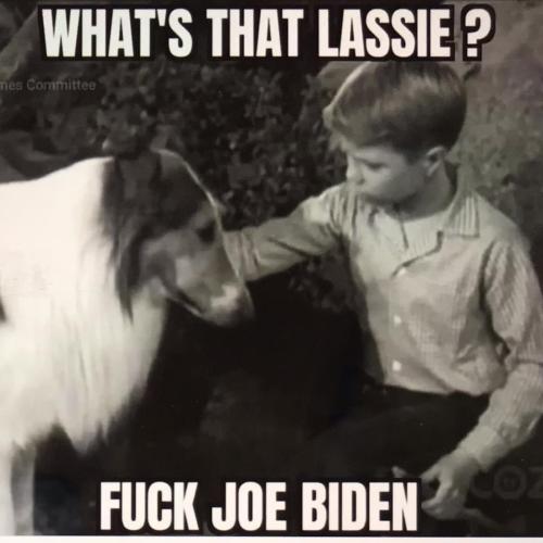 3DE55BA8-EE03-48AE-BD64-48A26432C7DA